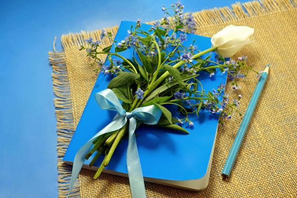 School holiday workshop